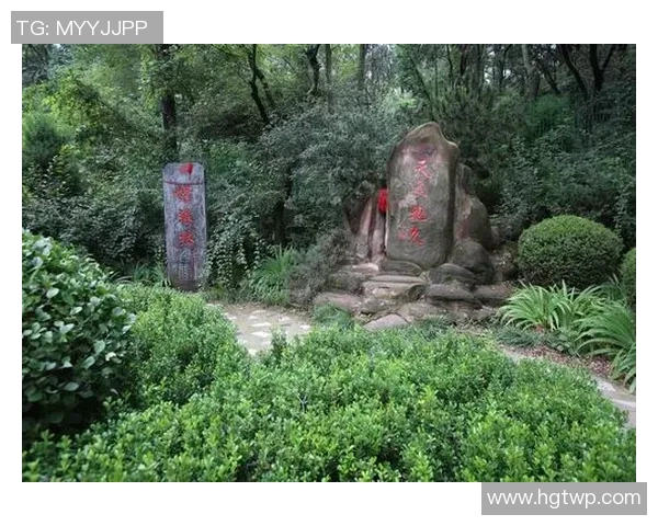 老爷踢足球的奇妙冒险与青春回忆的交织之旅 老爷踢足球的奇妙冒险与青春回忆的交织之旅